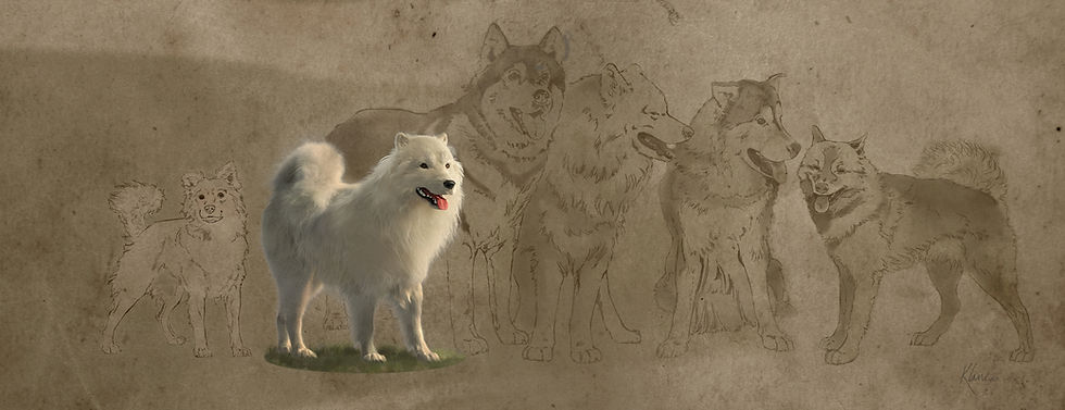 Pesquisadores descobrem que ‘cães lanudos’ do noroeste do Pacífico não eram um mito - História em Destaque