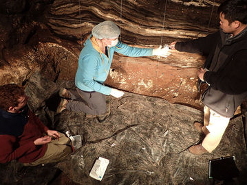 Caverna na Sibéria abrigava Neandertais, Denisovanos e humanos modernos ao mesmo tempo
