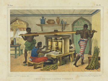 As primeiras atividades econômicas no Brasil Colônia