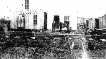 Steel Dust: o cavalo lendário que marcou a história do Quarto de Milha