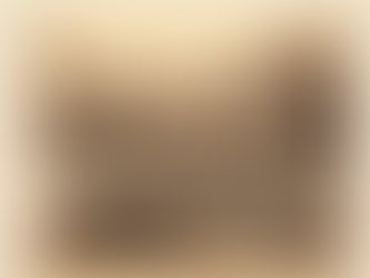 Mina de diamantes do Sr. Vidigal no Rio Jequitinhonha