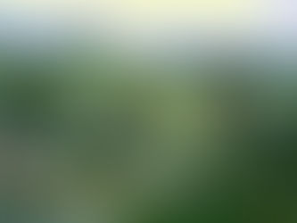 Pesquisadores sugerem que, há 23.000 anos, siberianos da era do gelo podem ter domesticado cães