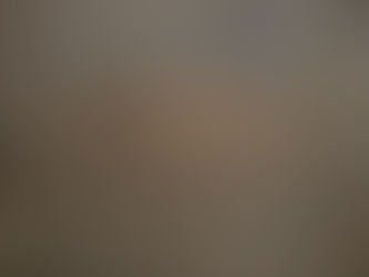 Antigos pescadores de tubarão foram enterrados com membros adicionais