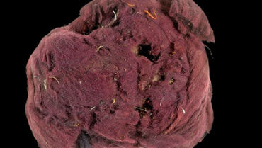 Roupas eram falsificadas na antiguidade para elevar o status social