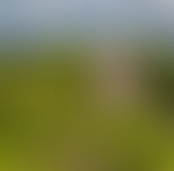 As impressionantes ruínas do grande Reino da Serpente Maia