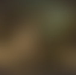 A Parábola do Bom Samaritano