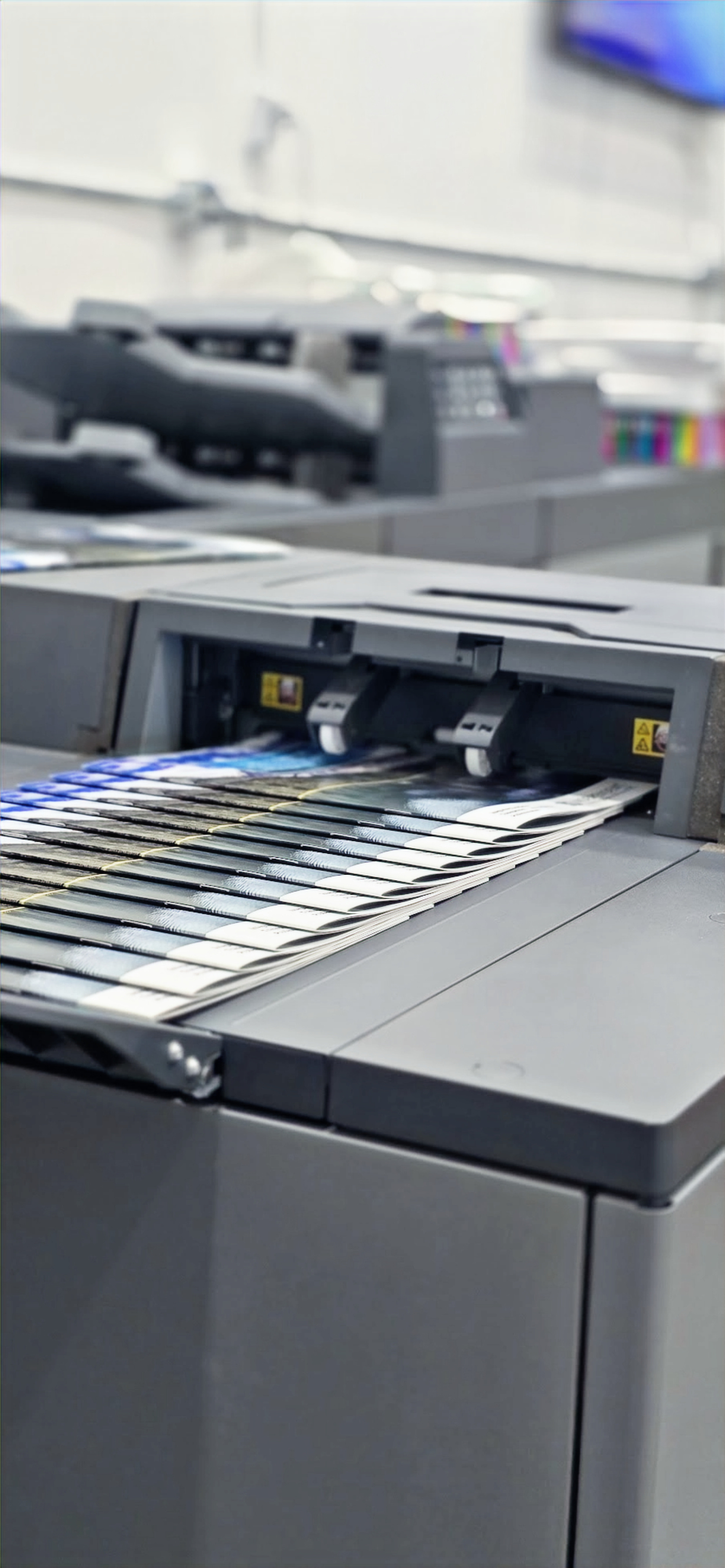 Develop Print Print Production Process: From Proof to Final Output