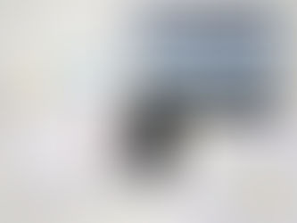 Laptop displaying court filing instructions beside printed Book of Authorities documents under review