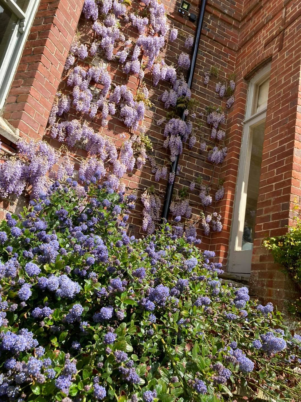 garden design hungerford
