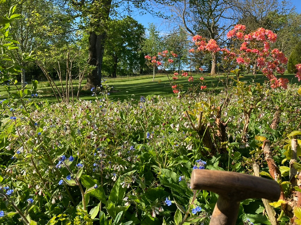 garden maintenance solutions