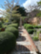 topiary trimming