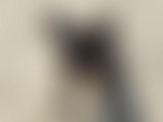 Sage | French Bulldog | Los Angeles, CA | In-Training