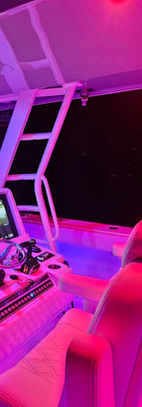 Custom marine interior lighting system with dimmable LEDs