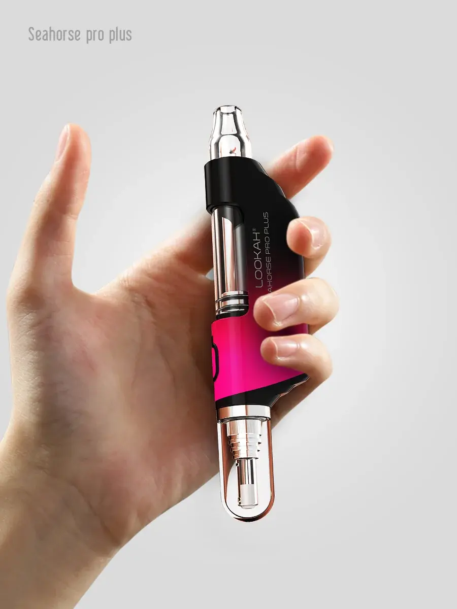 Thumbnail: Seahorse Pro Plus Gradient