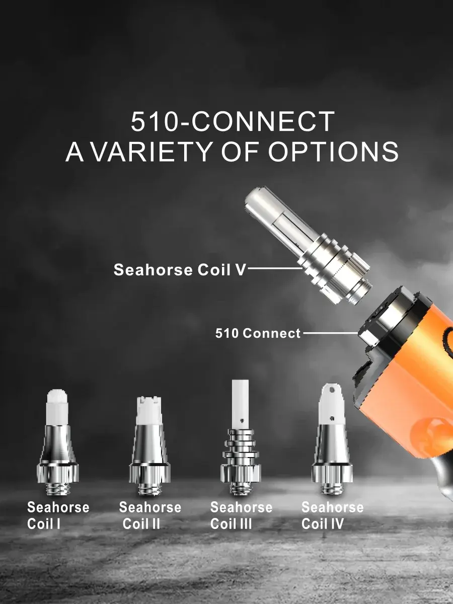 Thumbnail: Seahorse King