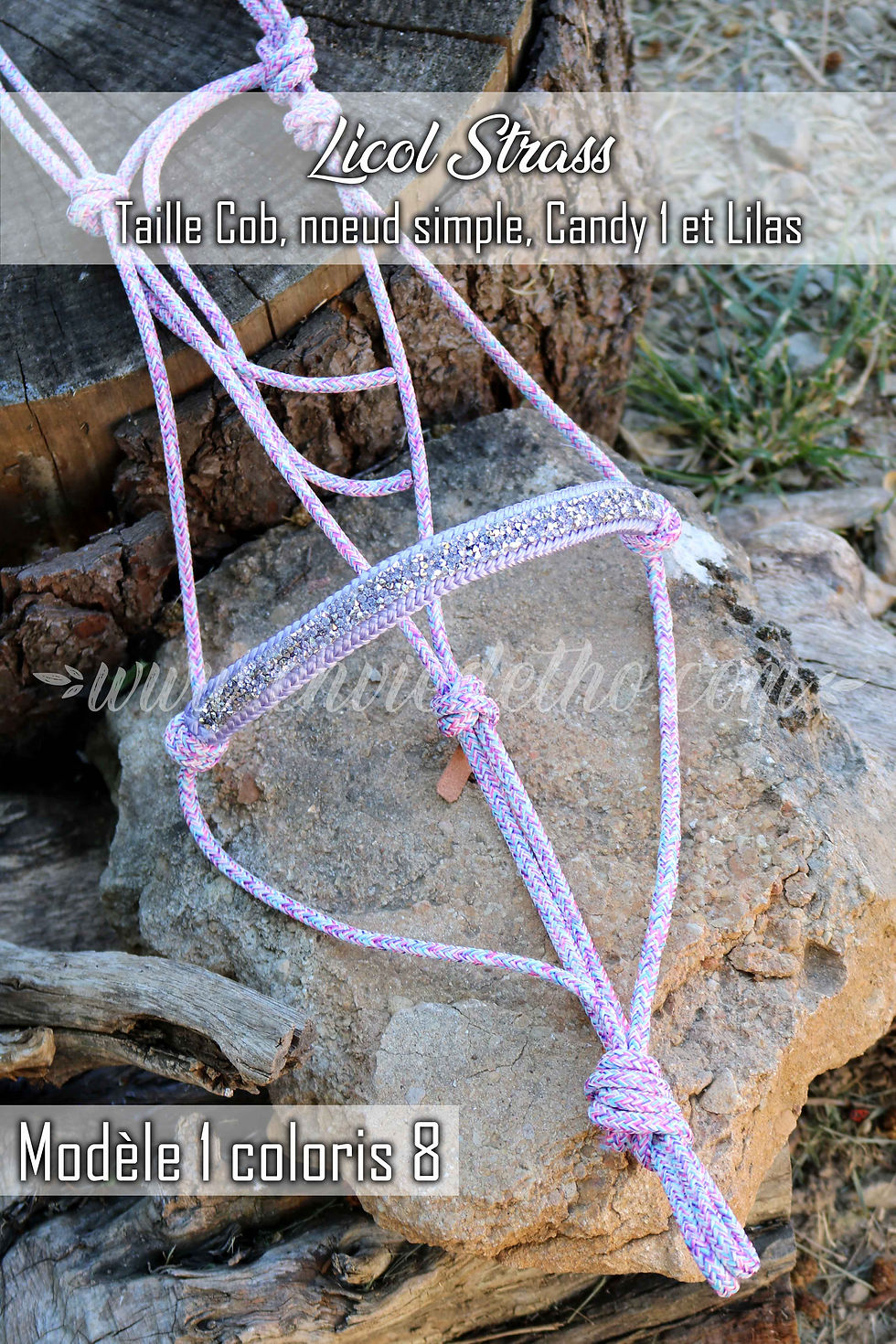 Miniature : Licol Strass "piéces uniques"