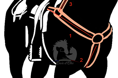 collier de chasse.png