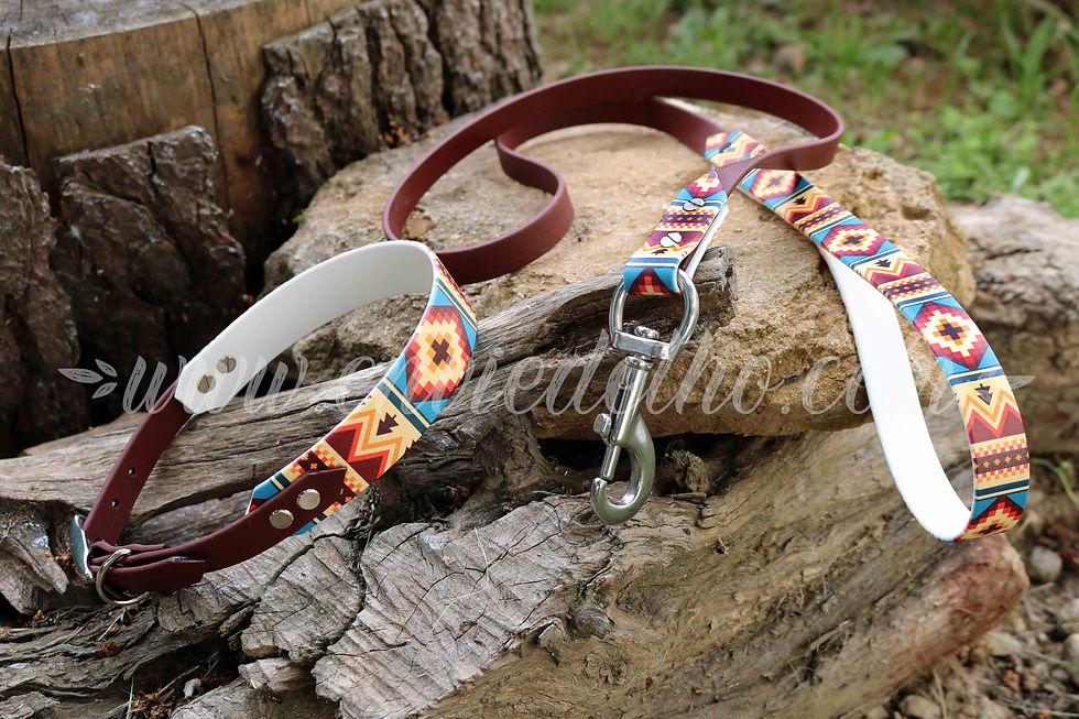 Thumbnail: Ensemble Collier/Laisse imprimés en Biothane®