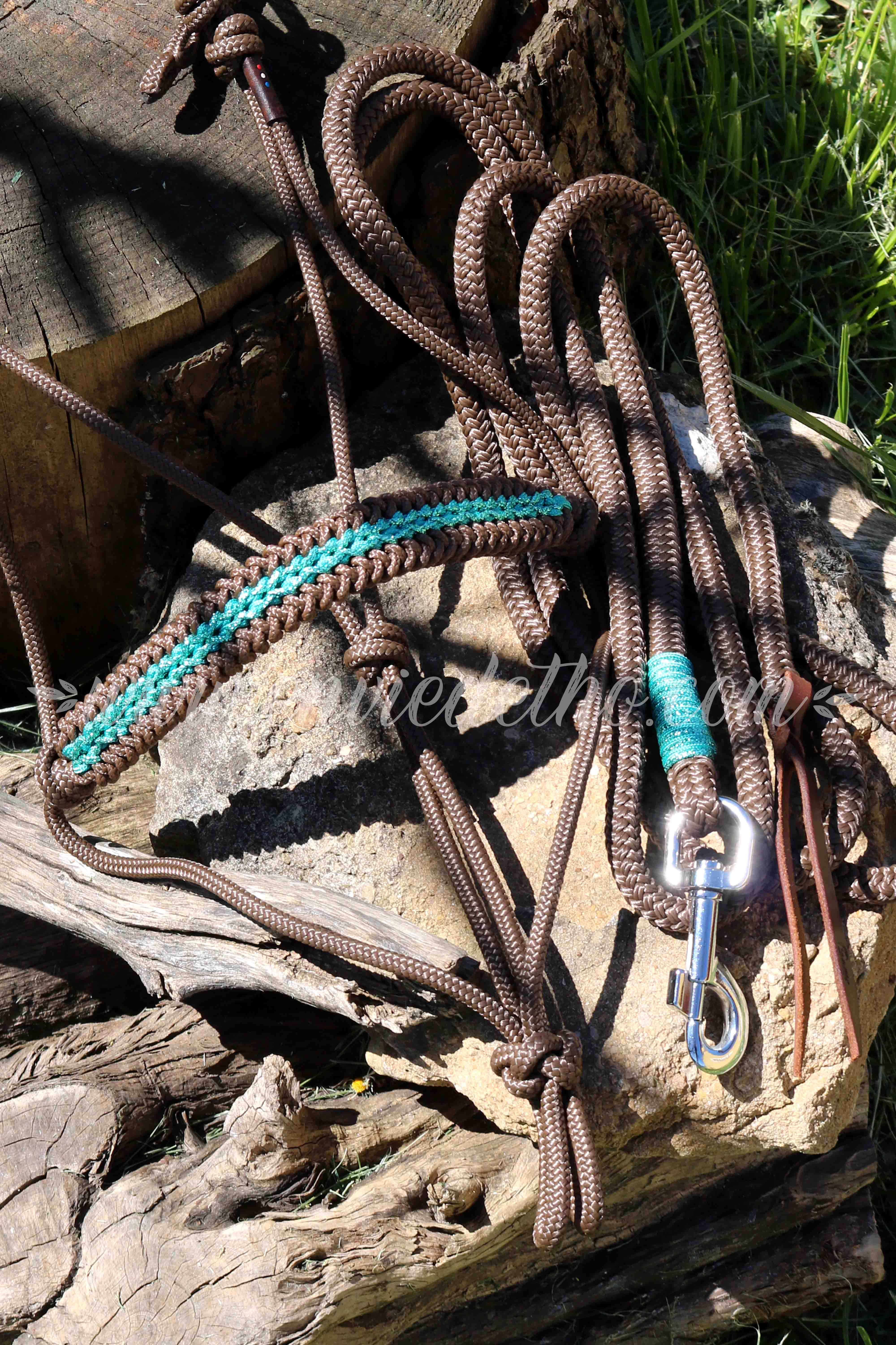 Ensemble licol/longe "taille full"