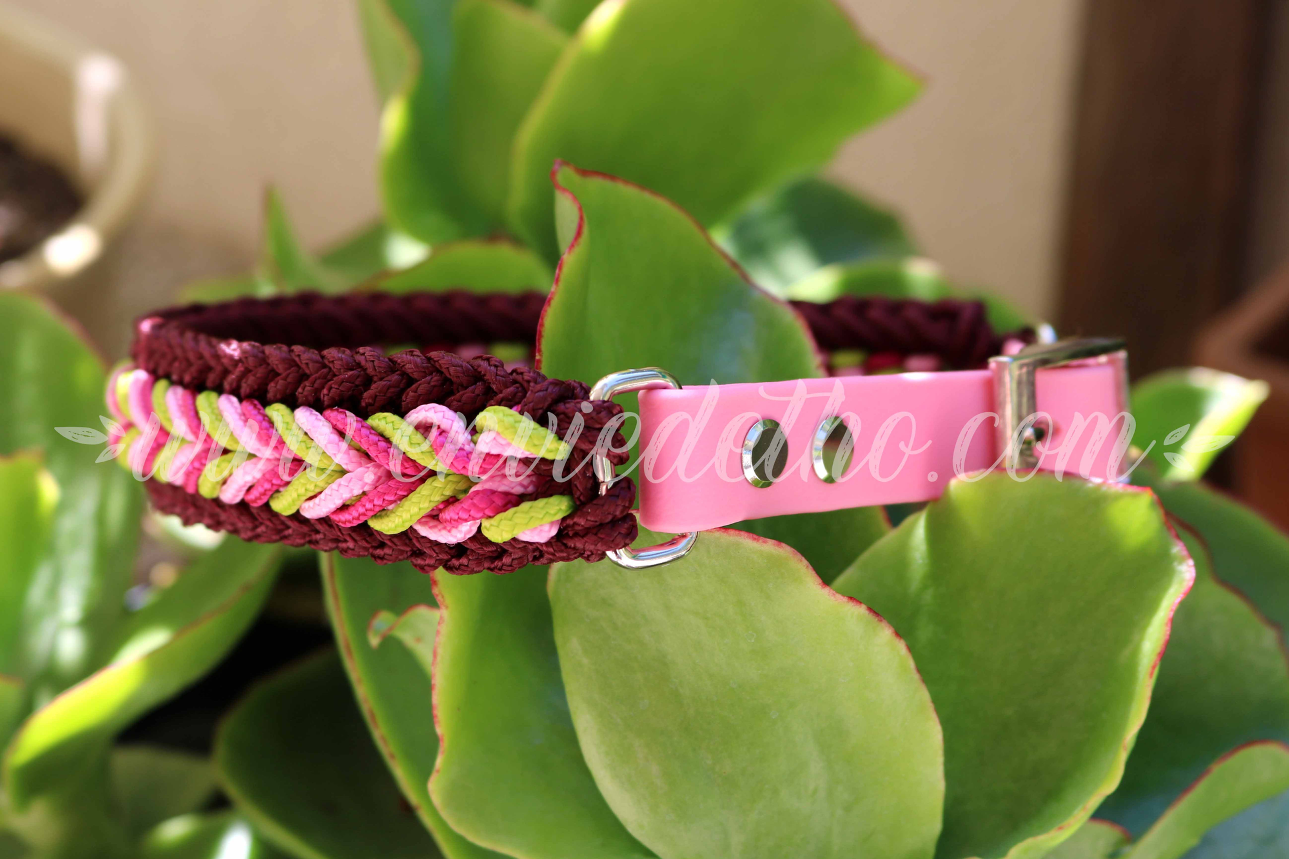 Collier Chien Épi d'blé Biothane®