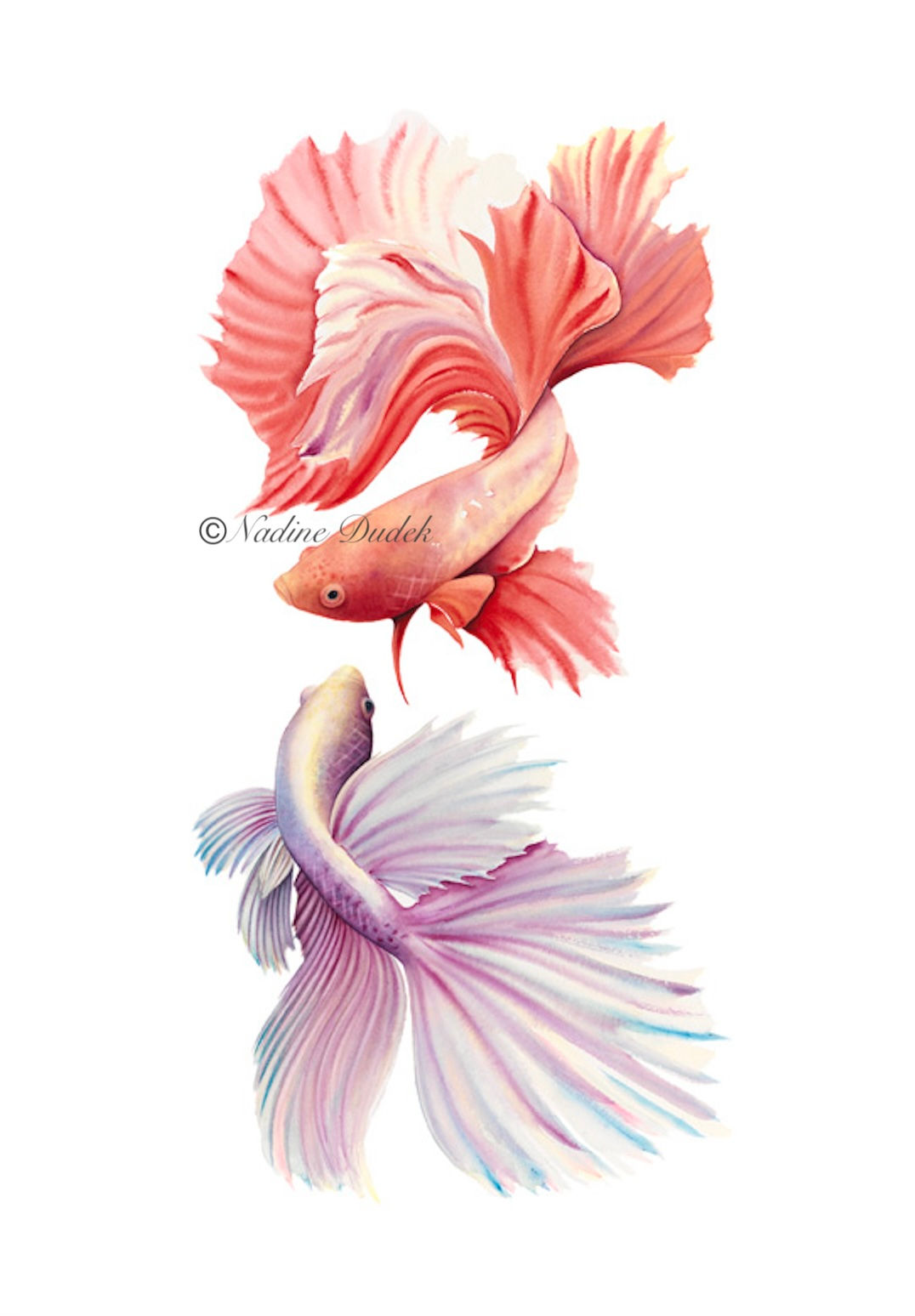 'Fight Club' - Framed original watercolour