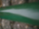 British Racing Green