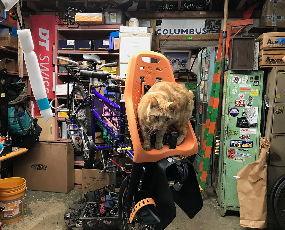 Escape route confirmed