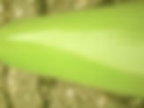 New Leaf