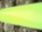 Greenparty
