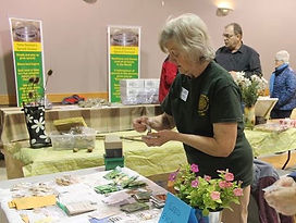 Haldimand Seedy Saturday.jpg