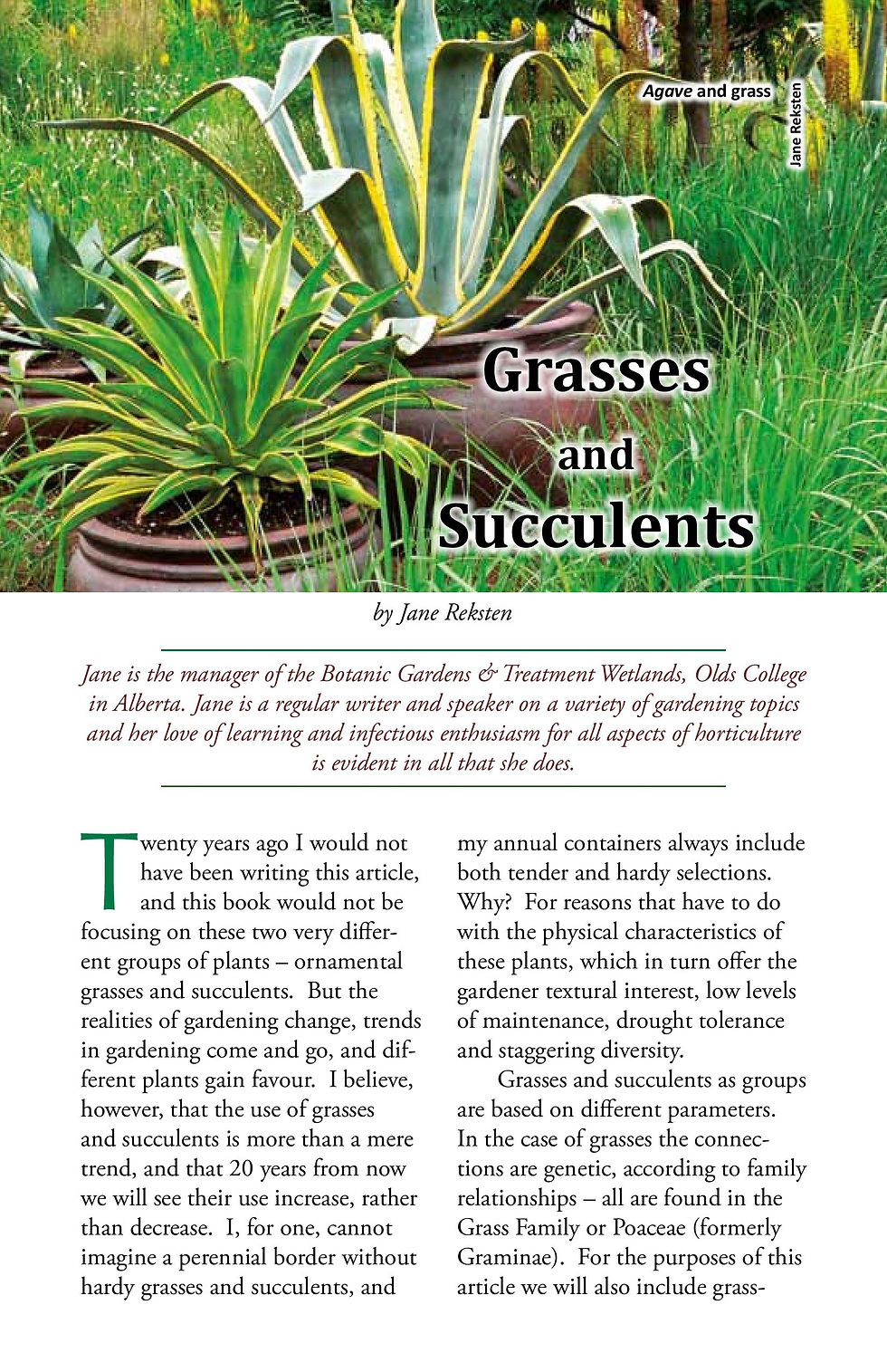 Thumbnail: 2015: Grasses & Succulents