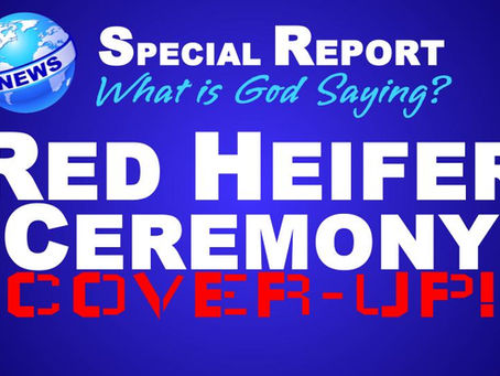Red Heifer Ceremony Cover-up!