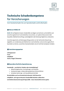 Factsheet Technische Schadenberatung für Versicherungen – Sachverständiger für komplexe Versicherungs- und Gebäudeschäden.