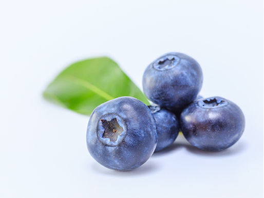 Health Benefits of a Blueberry and Cancer Prevention
