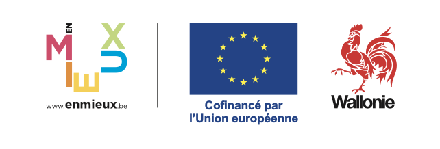charte graphique.png