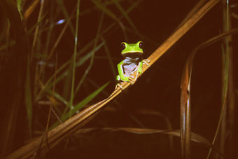 Nabbi Design - Photograaphy - Our Hobby