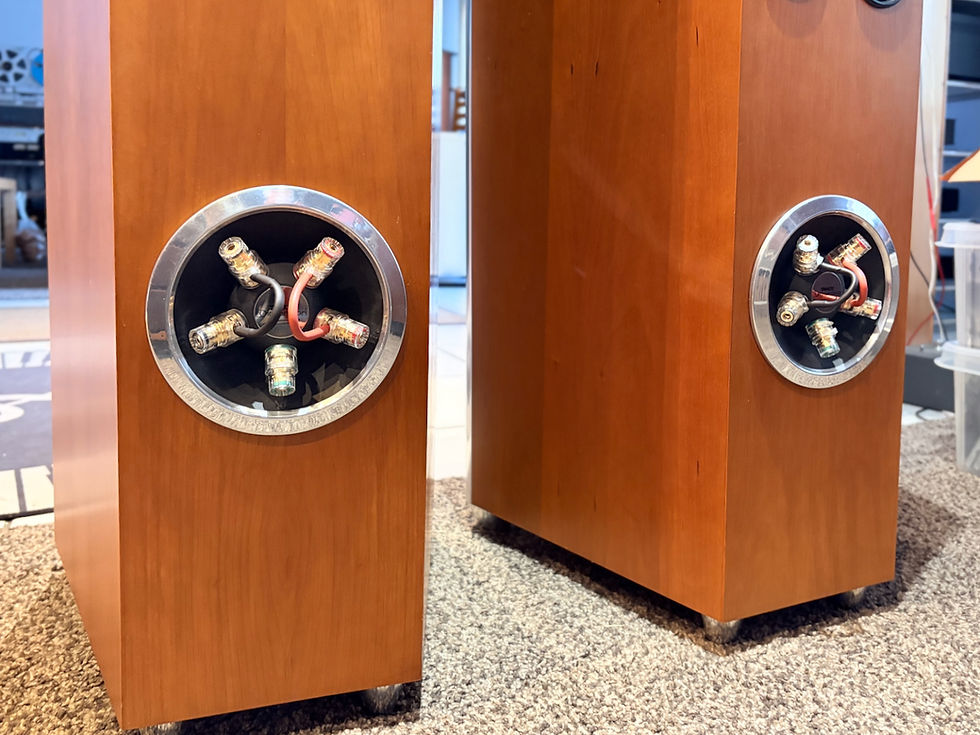 Miniaturbild: Tannoy Dimension TD 10