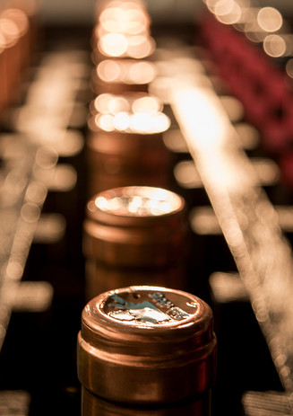 DSC_0022-R2.jpg