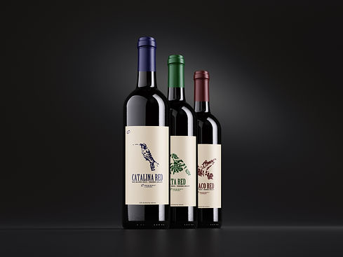 Free_Wine_Bottle_Mockup_4.jpg