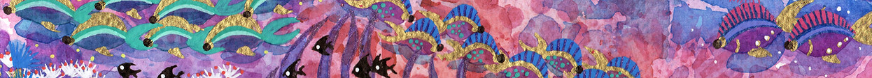 Panoramic pink diverse schools of fish m