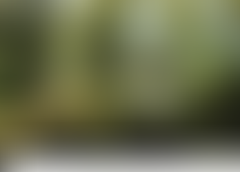 Déménagement éco-responsable sur la Rive-Sud : comment faire ?