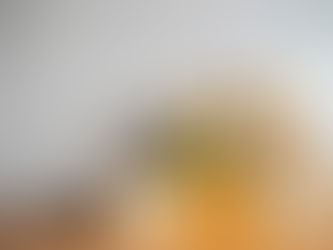 Fournitures et Matériaux pour Votre Déménagement