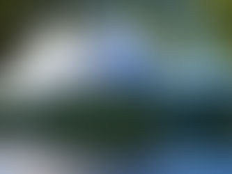 Déménagement Rive-Sud : les meilleurs conseils pour déménager sereinement