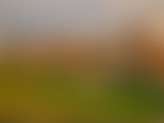 Les entreprises de déménagement entre Québec et Montréal : Comment choisir le meilleur service pour votre déménagement