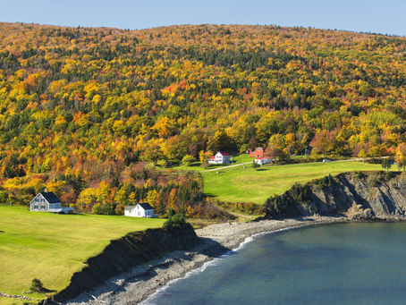 1. Déménagement Rive-Sud