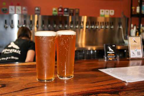 wedgetail brewing IPA