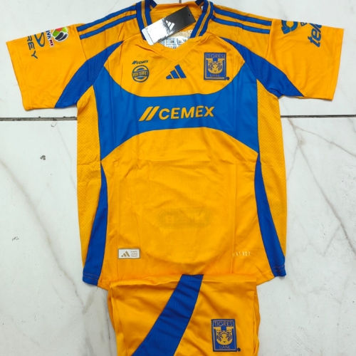 Tigres Mango 24 Niños