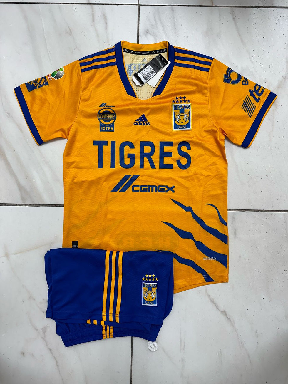 Tigres Garra 20 Adulto