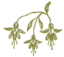 Paraíso Verde_Identidad -39.png