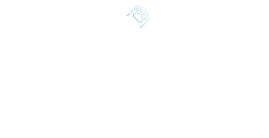 Иконки первый экран-min.png